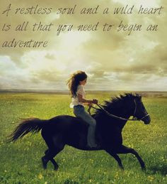 Flicka. Don't care what anyone says I thought it was an awesome movie ...