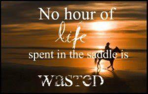 ... horseforum.com/horse-pictures/horse-quotes-i-base-my-life-62431/ Like