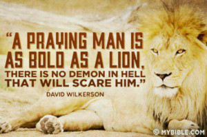 praying man is as bold as a Lion...