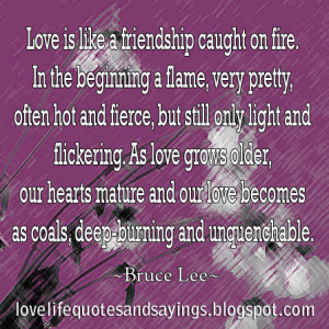 Love Is Like a Friendship Caught on Fire