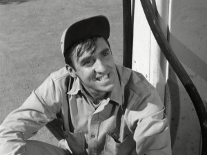 ... proof that they are different folks on the show goober pyle gomer pyle