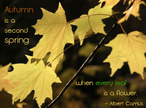 Fall Season Quotes And Sayings Autumn quote: autumn is a