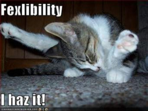 funny exercise quotes - Ask.com Image Search