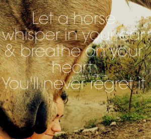 Horse Quotes About Love (4)