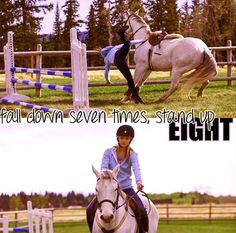 ... Quotes, Horses 3, Hors Quotes, Horses Stuff, Horses Quotes, Heartland