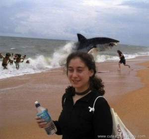 best photobomb ever whale jumping out of water at beach