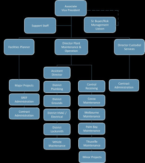 Department Organization Chart