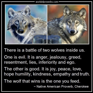 Native American Wolf Quotes Native american proverb