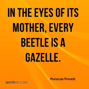 Moroccan Proverb - In the eyes of its mother, every beetle is a ...