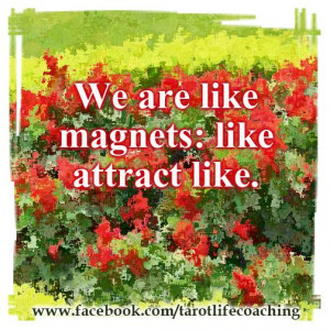YOU ARE LIKE A MAGNET: LIKE ATTRACTS LIKE