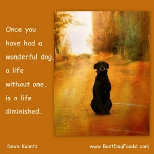 quotes about fathers poems for dogs that have passed away