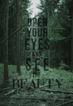 typography # gif # forest # nature # nature gif # forest gif # text ...