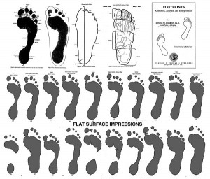ONLY MODERN ANATOMICAL HUMAN FOOTPRINTS ARE FOUND IN THE FOSSIL RECORD