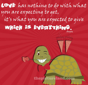 Love Sayings With Romantic Funny Turtle Pictures