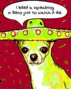 quotes and graphics | Killed Squeaktoy Reno Funny Chihuahua Mexican ...