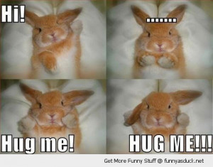 hug me cute rabbit bunny hello animal funny pics pictures pic picture ...