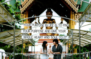 ... Purpose And Give Your Whole Heart And Soul To It ” ~ Buddhist Quotes