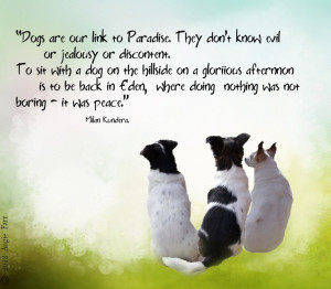 first in a series i will be creating featuring Dogs and dogs quotes ...