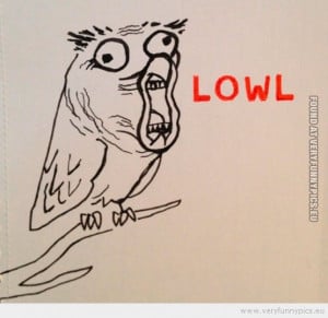 Funny Picture – Laughing owl lowl