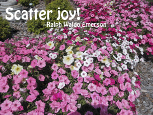 Scatter Joy! ~ Joy Quote