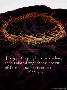 the Roman soldiers placed on Jesus a crown of thorns