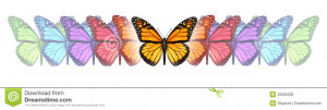 Free Stock Photography Freedom Illustration Cage And Butterflies