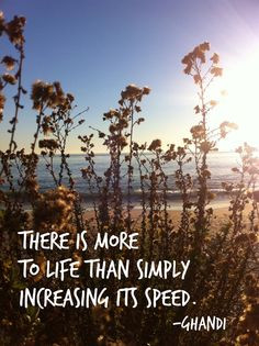 ghandi #quote I'm all for slowing down! :) More