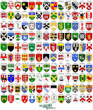 ... your own personal family coat of arms on a piece of Irish jewelry