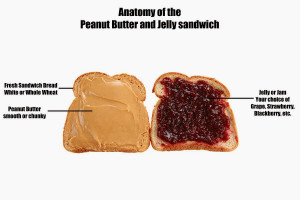 ... peanut butter jelly sandwich email me pictures of your peanut butter