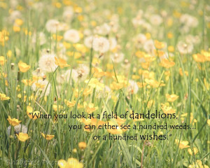 Dandelion Wishes Field Flowers Pastel Yellow Green Dreamy Botanical ...