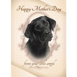 funny_black_lab_mothers_day_card.jpg?height=250&width=250&padToSquare ...