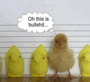 Pinned by Angela La Rose Holladay