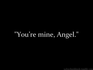 hush hush saga quotes