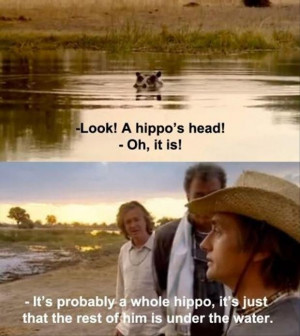funny hippo pictures
