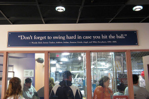 batting cages 25 Funny Pictures With Quotes You Should Check Today