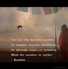 Buddha Quote 84 (h.koppdelaney) Tags: wallpaper art freedom peace ...
