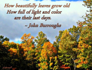 john burroughs quote