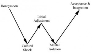 Emotions during the first year of university often follow a W-shaped ...