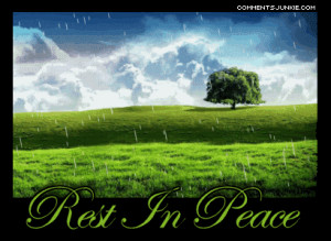 rest-in-peace-rain.gif