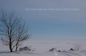 Quotes To Chase Away The Winter Blues And Make You Think Of Spring