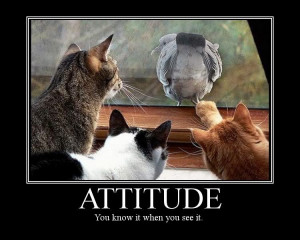attitude-you-know-it-when-you-see-it-attitude-quote.jpg