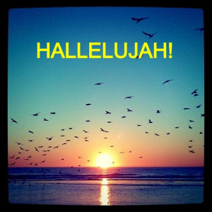 hallelujah_praise-412017.jpg?i