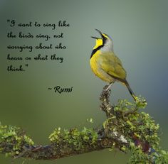 want to sing like the birds sing, not worrying about who hears or ...