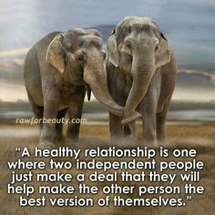 quote the elephants make it that much better more relationships quotes ...