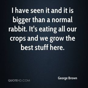George Brown - I have seen it and it is bigger than a normal rabbit ...