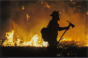 Serving our country wildland firefighter Image
