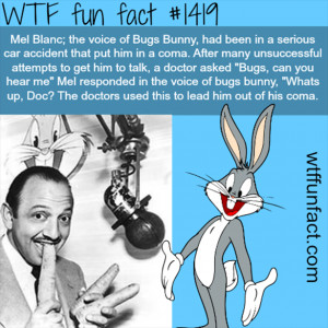 22 Interesting Facts From WTF Fun Facts fun facts Awesome fun fact ...