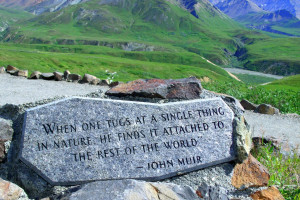 John Muir Quote - Denali National Park.