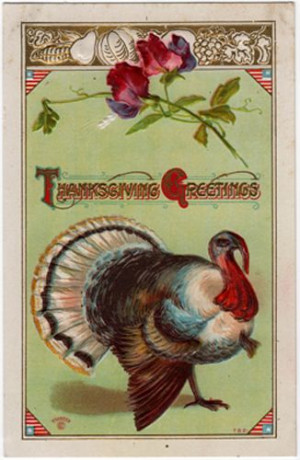 Patriotic Turkey Thanksgiving Postcard