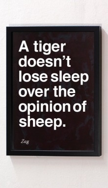 tiger doesn't loose sleep over the opinion of a sheep.